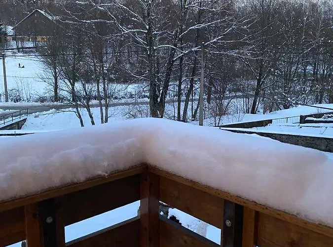 Brvnara Sanmari_forest Ledenice